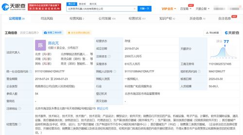 软件销售的成功策略与市场发展趋势